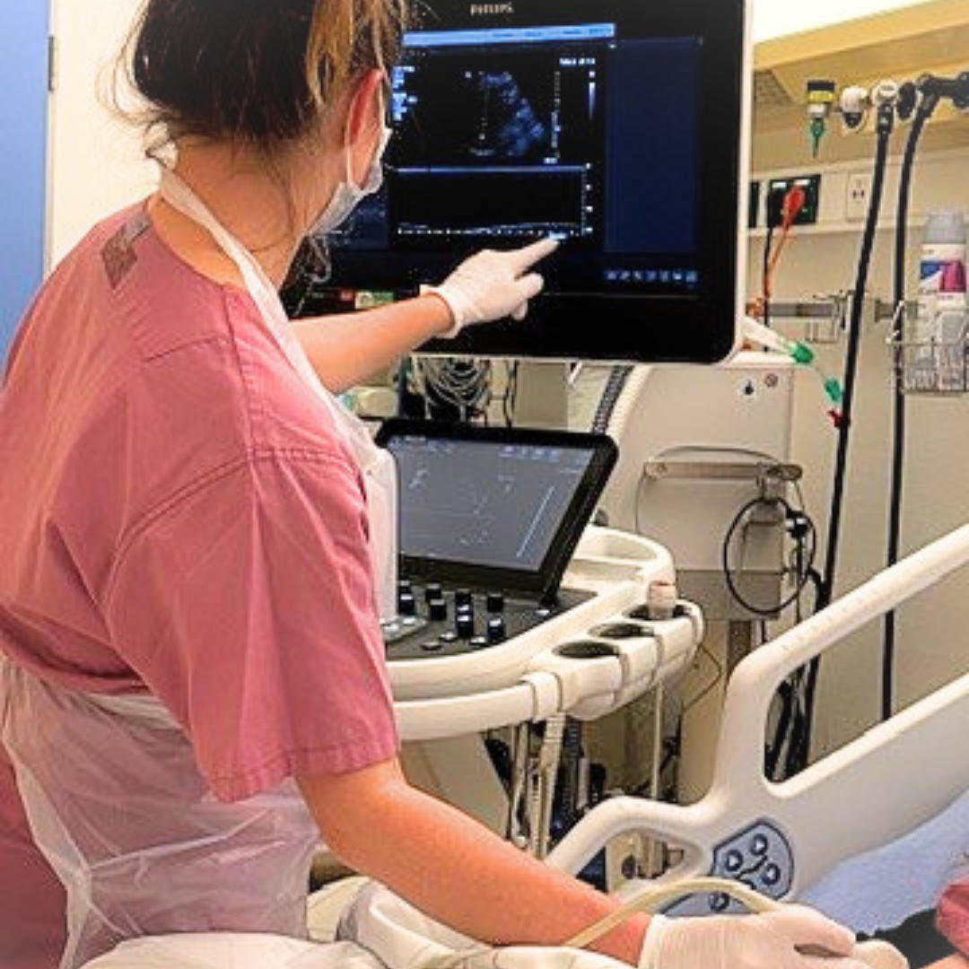 Frau Stange führt eine Sonografie durch