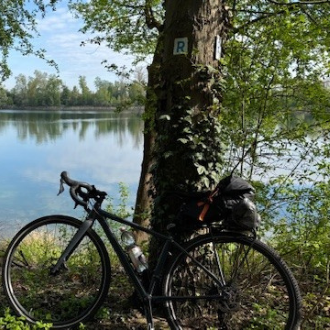 Fahrrad von Frau Stange lehnt an einem Baum in der Natur